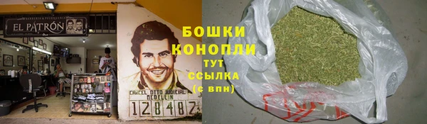 PSILOCYBIN Россошь